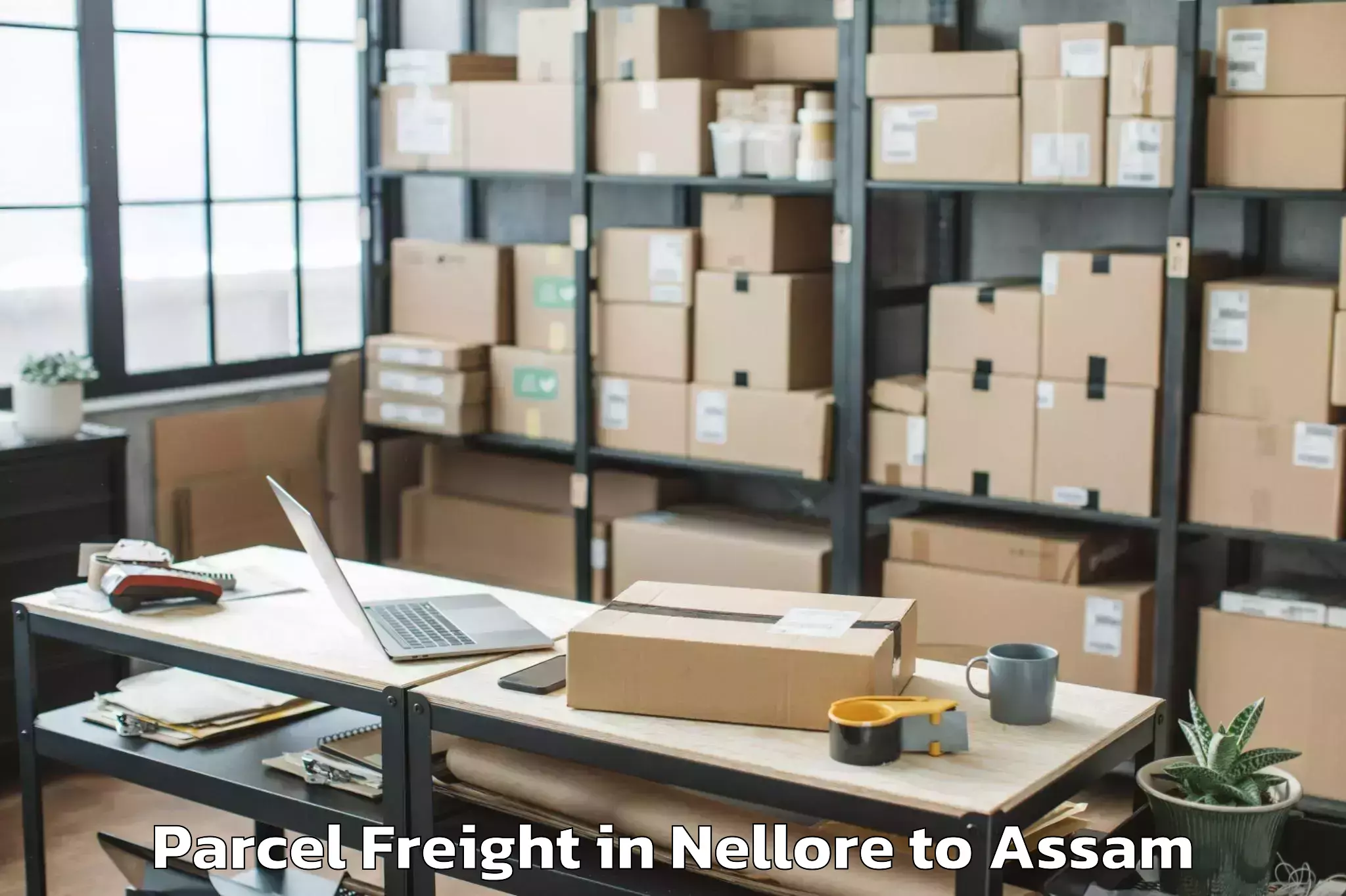 Top Nellore to Rajakhat Banekuchi Parcel Freight Available